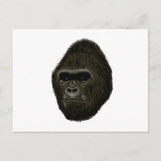 Gorilla Postcard
