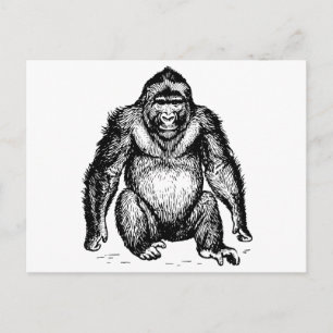 Gorilla Postcard