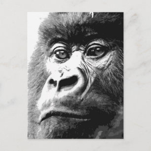Gorilla Postcard