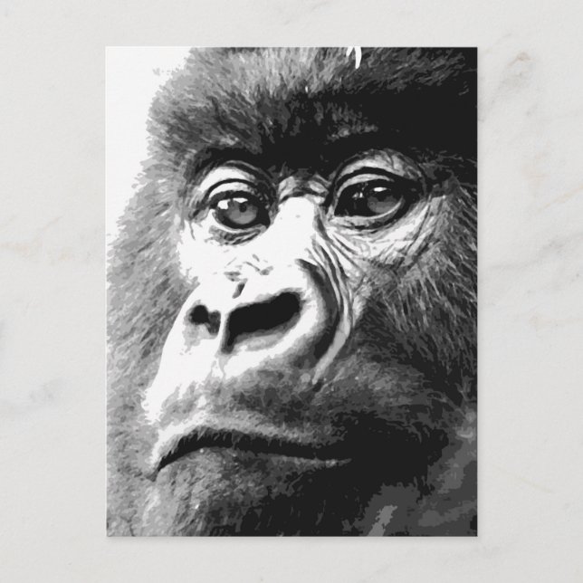 Gorilla Postcard (Front)