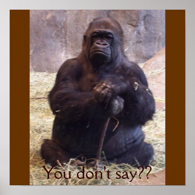 Gorilla Poster (Front)