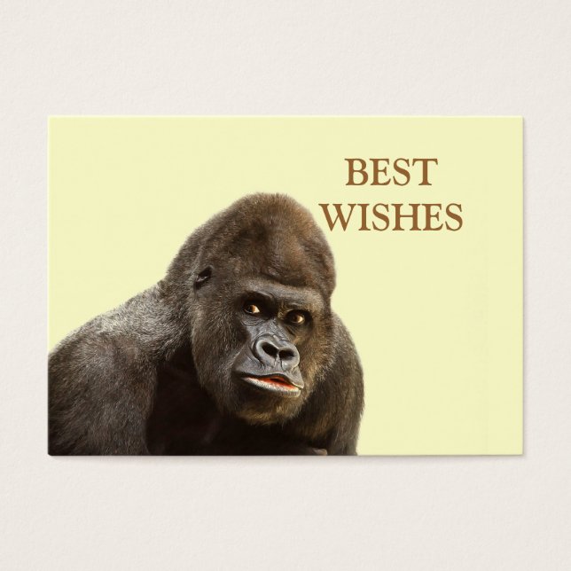 Gorilla Pout (Front)