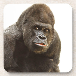 Gorilla Pout Coaster