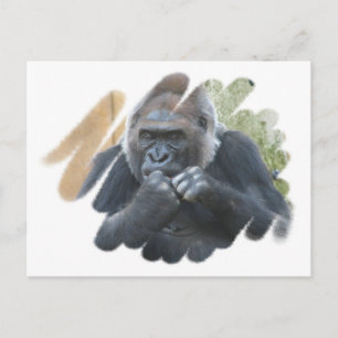 Gorilla Primate Postcard