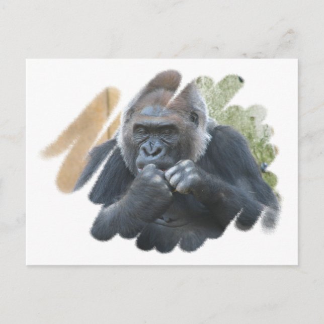 Gorilla Primate Postcard (Front)