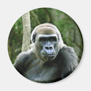 Gorilla Profile Magnet