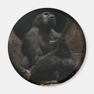 Gorilla /Round Magnet