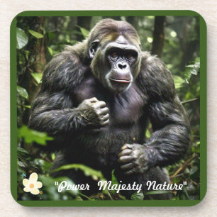 "Gorilla’s Forest Majesty" Coaster