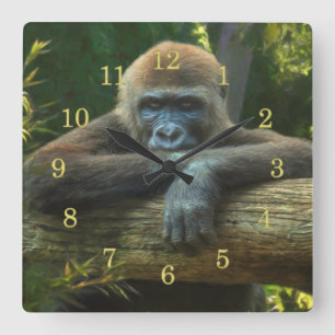 GORILLA “SAVE OUR SPECIES” SQUARE WALL CLOCK