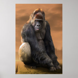 Gorilla ,silver back at dusk poster