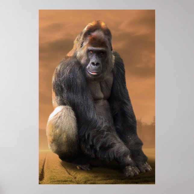 Gorilla ,silver back at dusk poster (Front)