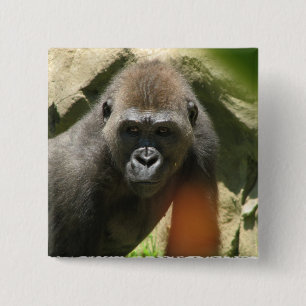 Gorilla Square Button