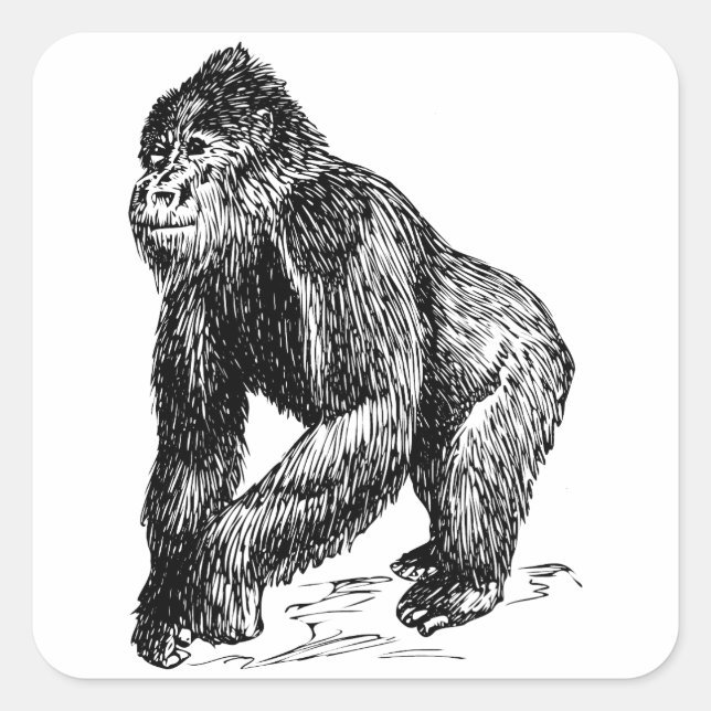 Gorilla Square Sticker (Front)