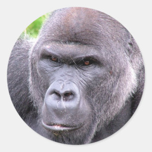Gorilla Sticker