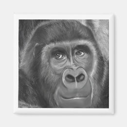 Gorilla sucking fingers Magnet2 FINGER SUCKING GOR Magnet