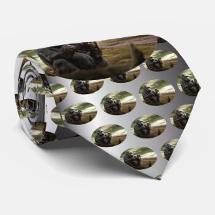 Gorilla Takes to the Tablet Tie