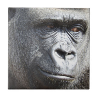 Gorilla Tile