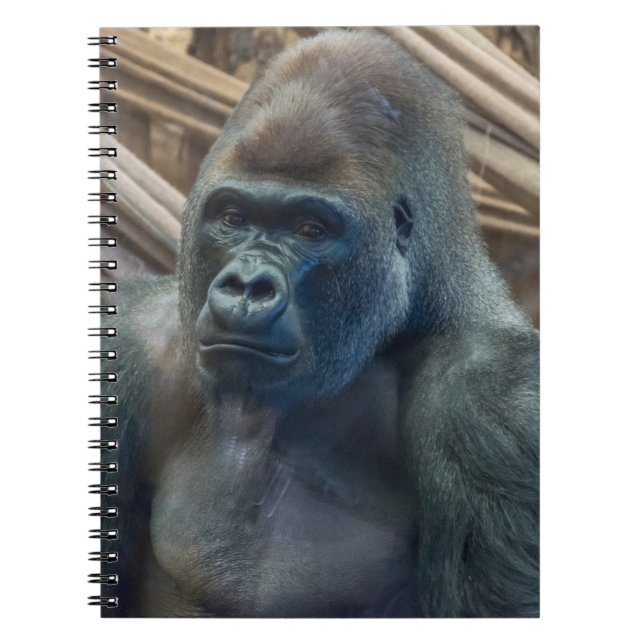 Gorilla up close notebook (Front)