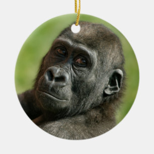 Gorilla Youngster Ceramic Tree Decoration