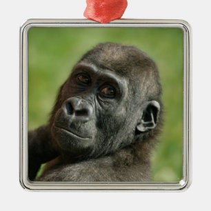 Gorilla Youngster Metal Tree Decoration