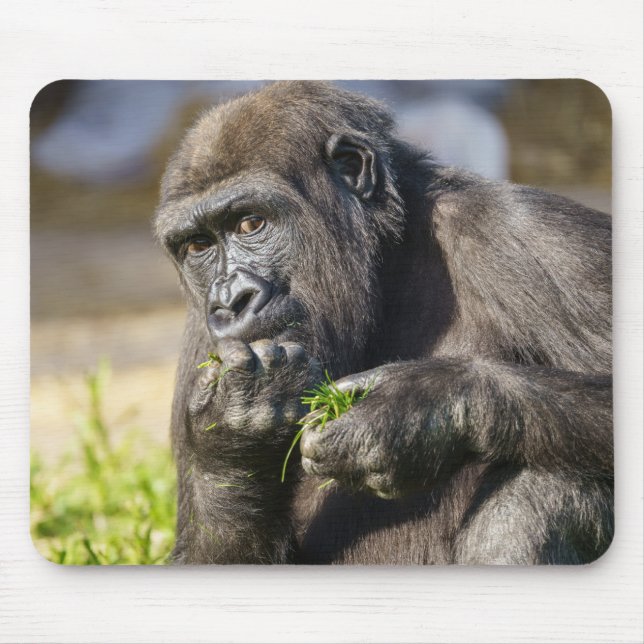 Gorilla Youngster Mouse Mat (Front)