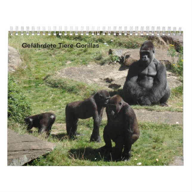 Gorillas as a calendar (Cover)