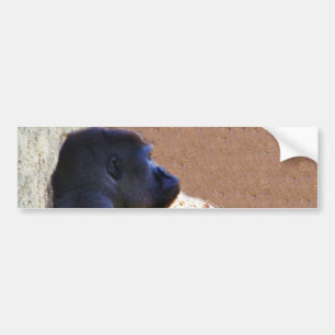Gorillas_ Bumper Sticker