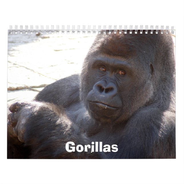 Gorillas Calendar, Gorillas Calendar (Cover)