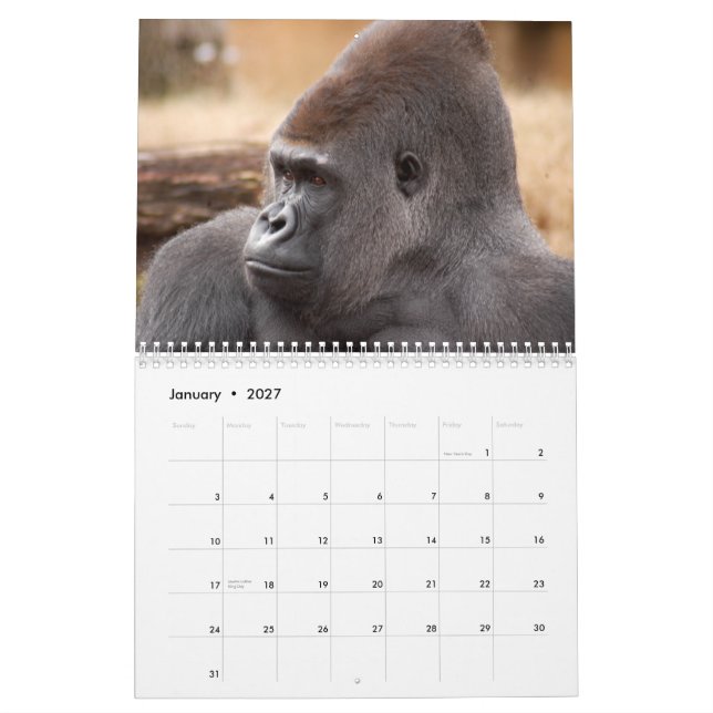 Gorillas Calendar, Gorillas Calendar (Jan 2027)