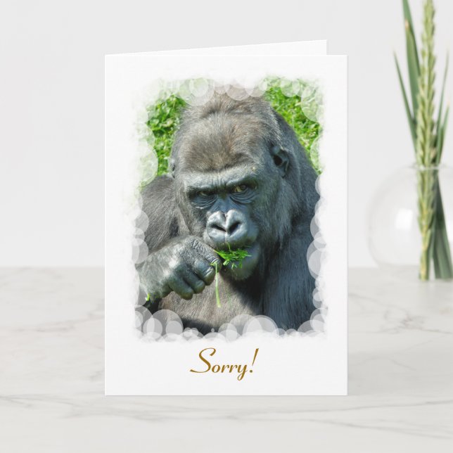 GORILLAS CARD (Front)