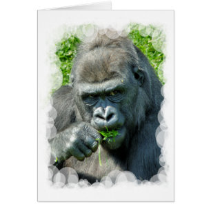 GORILLAS card