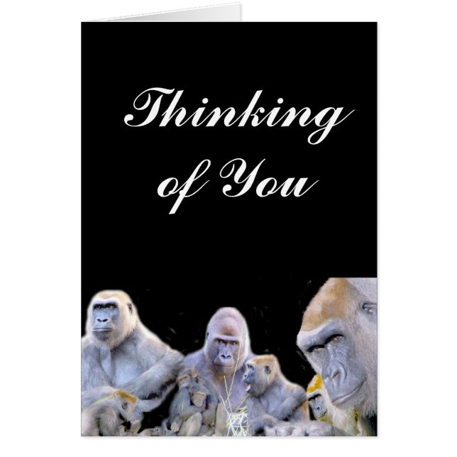 Gorillas & Chimpanzees_ (Front)