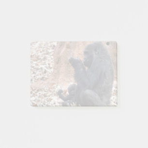 Gorillas Lulu and Floyd at Zoo Atlanta Post-it Notes