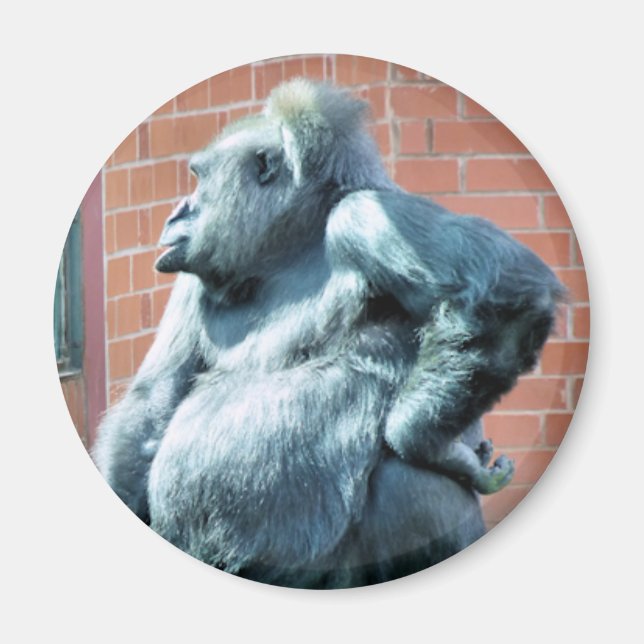 GORILLAS MAGNET (Front)