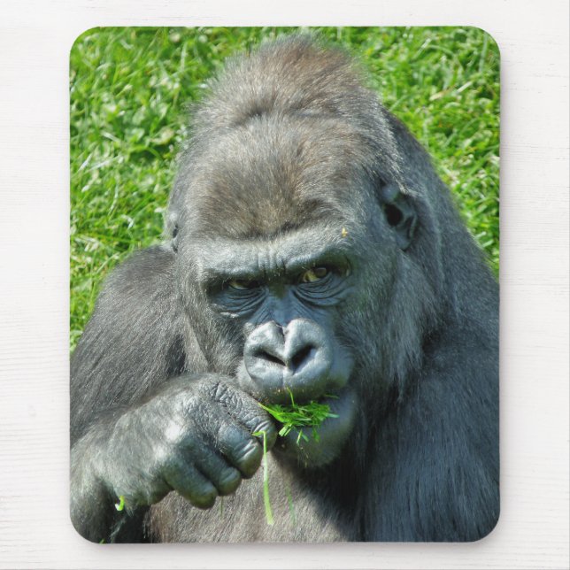 GORILLAS MOUSE MAT (Front)