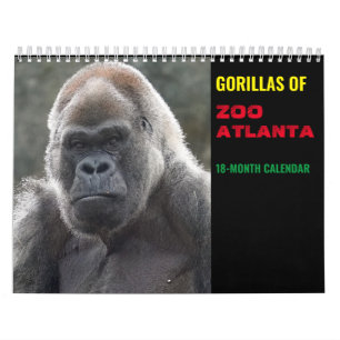 Gorillas of Zoo Atlanta 2022 Calendar (18-month)