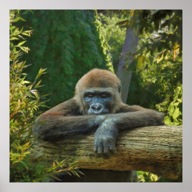 GORILLA'S S.O.S. “SAVE OUR SPECIES” POSTER (Front)