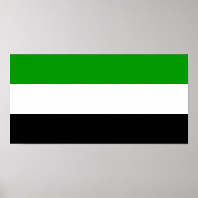 Gorno Badakhshan flag state Tajikistan region symb Poster (Front)