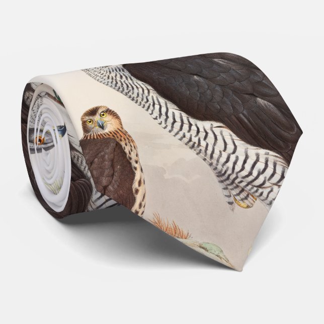 Goshawk John Gould Birds of Great Britain Wildlife Tie (Rolled)