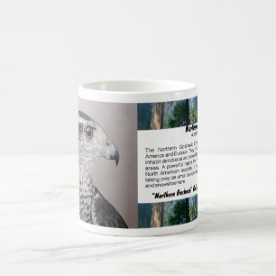 Goshawk mug
