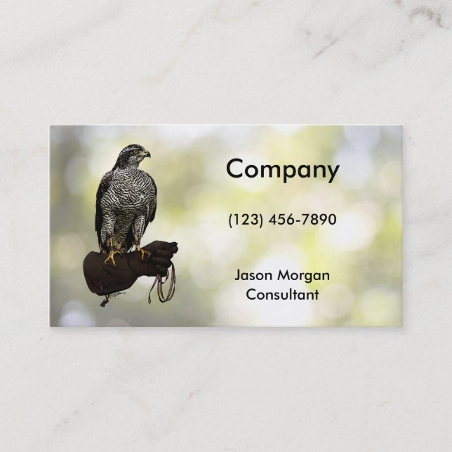 Goshawk on Glove Business Card (Front)