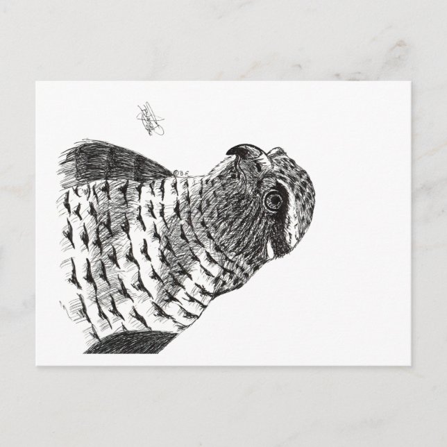 GOSHAWK POSTCARD (Front)