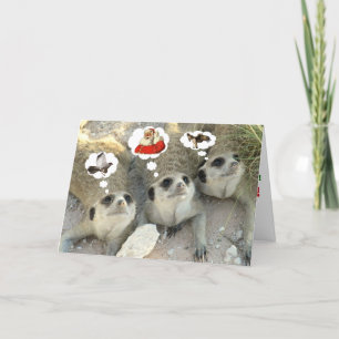 Goshawk? Santa! Eagle? - Seasons Greetings Holiday Card