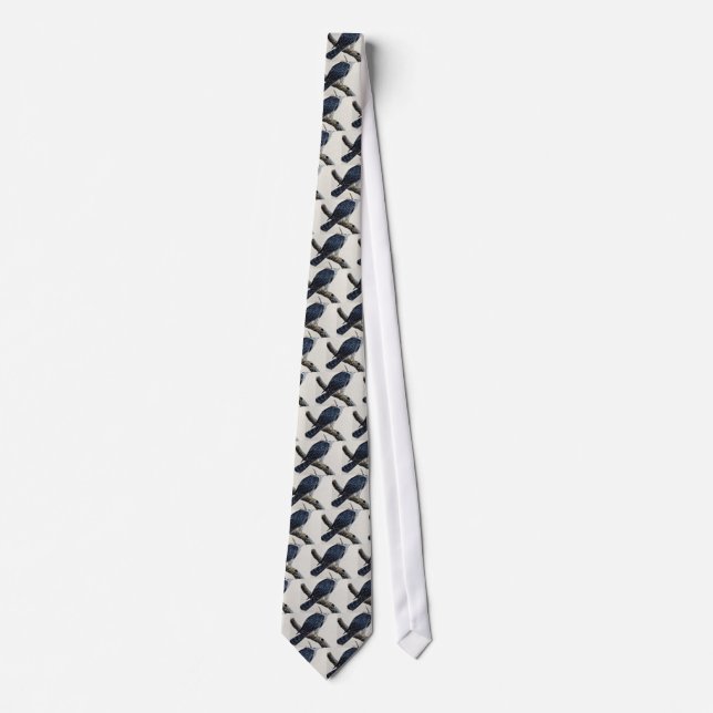 Goshawk Tie (Front)