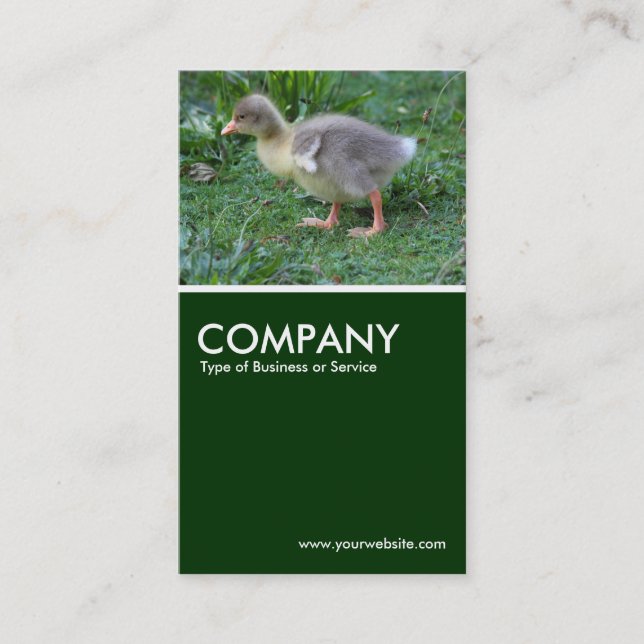 Gosling - Dark Green Business Card (Front)