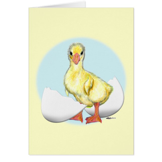 Gosling:  Just Hatched (Front)