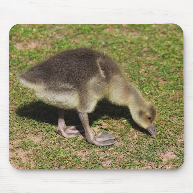 Gosling Mouse Mat (Front)