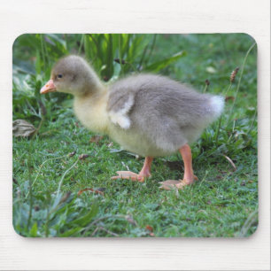 Gosling Mouse Mat
