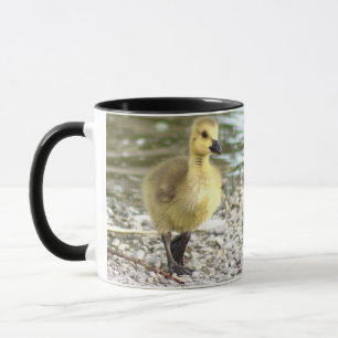 Gosling Photo Mug