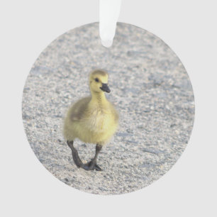 Gosling Photo Ornament